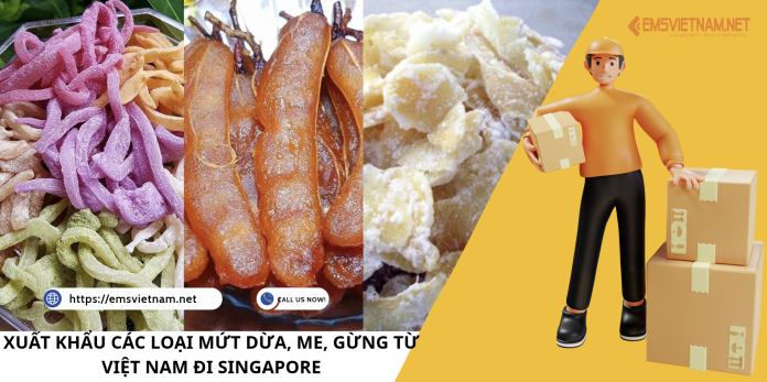 XUẤT KHẨU CÁC LOẠI MỨT DỪA, ME, GỪNG TỪ VIỆT NAM ĐI SINGAPORE