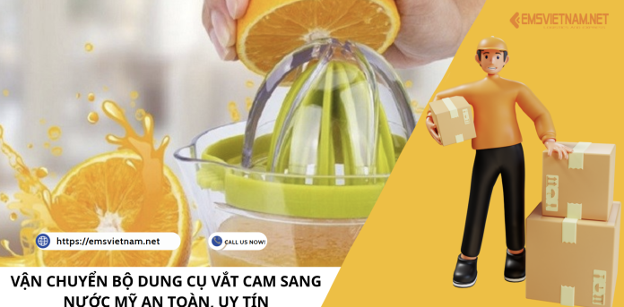 VẬN CHUYỂN BỘ DUNG CỤ VẮT CAM SANG NƯỚC MỸ AN TOÀN, UY TÍN