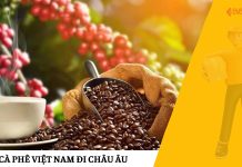 Gửi Cà Phê Việt Nam Đi Châu Âu Gửi Cà Phê Việt Nam Đi Châu Âu