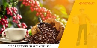 Gửi Cà Phê Việt Nam Đi Châu Âu Gửi Cà Phê Việt Nam Đi Châu Âu