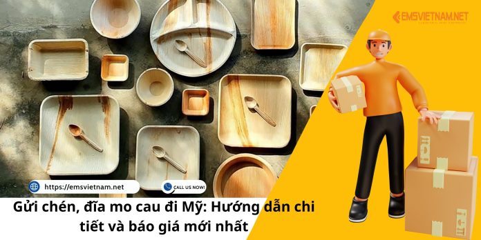 Gửi chén, đĩa mo cau đi Mỹ: Hướng dẫn chi tiết và báo giá mới nhất