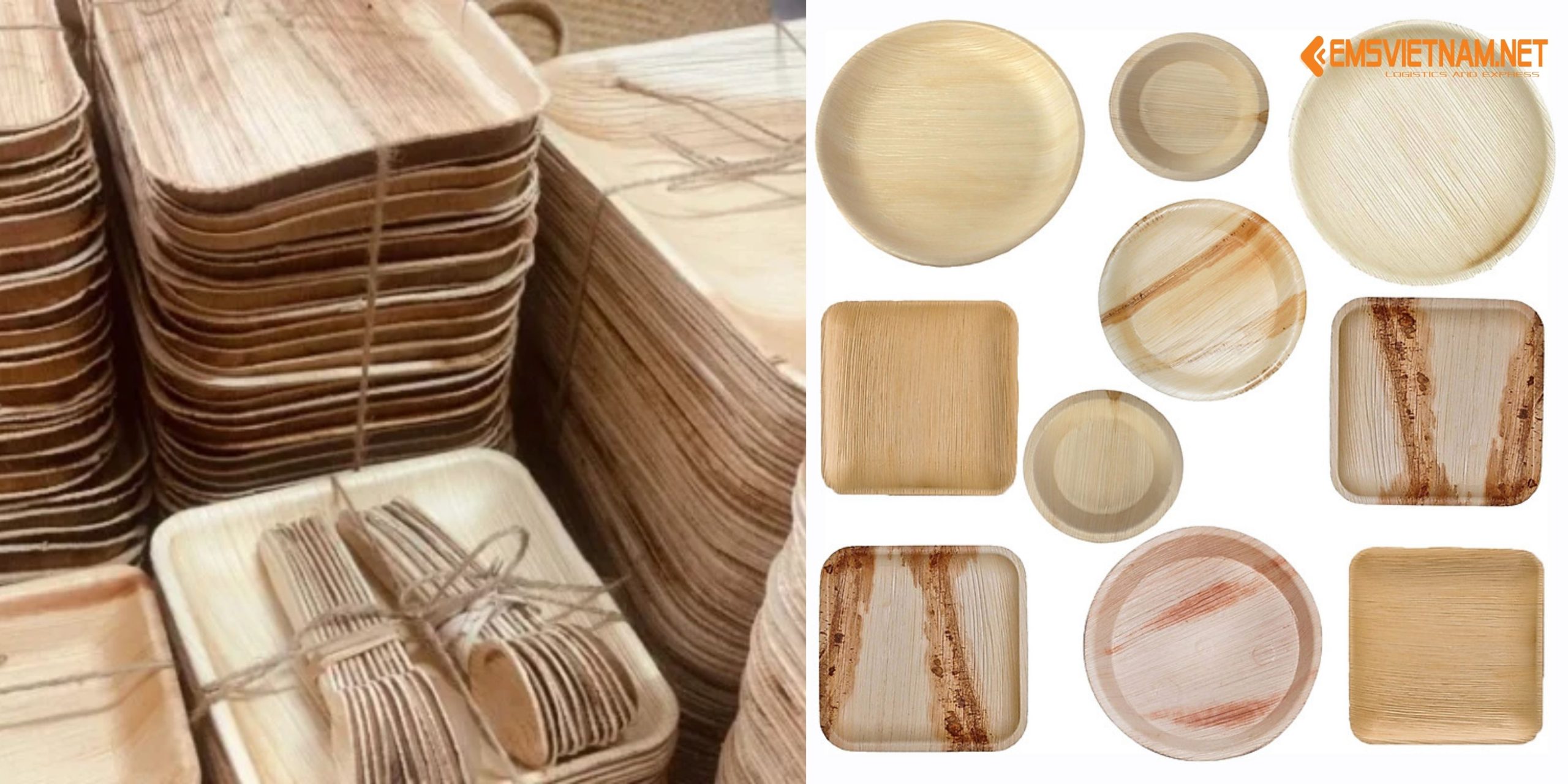 Gửi chén, đĩa mo cau đi Mỹ: Hướng dẫn chi tiết và báo giá mới nhất