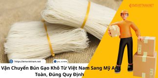 VẬN CHUYỂN BÚN GẠO KHÔ TỪ VIỆT NAM SANG MỸ AN TOÀN, ĐÚNG QUY ĐỊNH VẬN CHUYỂN BÚN GẠO KHÔ TỪ VIỆT NAM SANG MỸ AN TOÀN, ĐÚNG QUY ĐỊNH