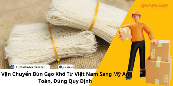VẬN CHUYỂN BÚN GẠO KHÔ TỪ VIỆT NAM SANG MỸ AN TOÀN, ĐÚNG QUY ĐỊNH