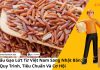 XUẤT KHẨU GẠO LỨT TỪ VIỆT NAM SANG NHẬT BẢN: QUY TRÌNH, TIÊU CHUẨN VÀ CƠ HỘI XUẤT KHẨU GẠO LỨT TỪ VIỆT NAM SANG NHẬT BẢN: QUY TRÌNH, TIÊU CHUẨN VÀ CƠ HỘI