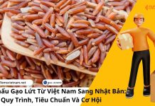 XUẤT KHẨU GẠO LỨT TỪ VIỆT NAM SANG NHẬT BẢN: QUY TRÌNH, TIÊU CHUẨN VÀ CƠ HỘI XUẤT KHẨU GẠO LỨT TỪ VIỆT NAM SANG NHẬT BẢN: QUY TRÌNH, TIÊU CHUẨN VÀ CƠ HỘI