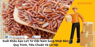 XUẤT KHẨU GẠO LỨT TỪ VIỆT NAM SANG NHẬT BẢN: QUY TRÌNH, TIÊU CHUẨN VÀ CƠ HỘI XUẤT KHẨU GẠO LỨT TỪ VIỆT NAM SANG NHẬT BẢN: QUY TRÌNH, TIÊU CHUẨN VÀ CƠ HỘI