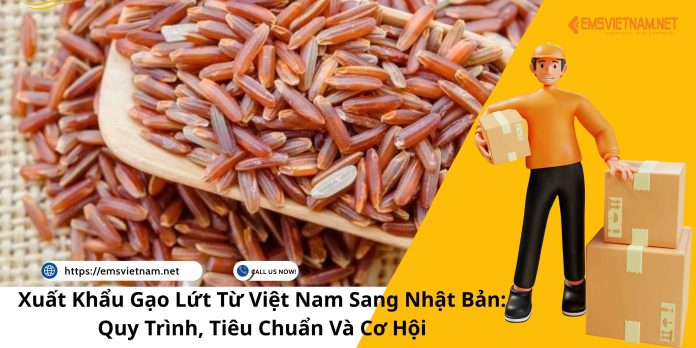 XUẤT KHẨU GẠO LỨT TỪ VIỆT NAM SANG NHẬT BẢN: QUY TRÌNH, TIÊU CHUẨN VÀ CƠ HỘI