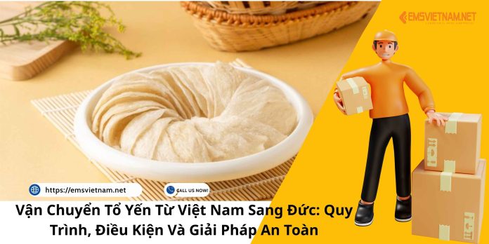 Vận Chuyển Tổ Yến Từ Việt Nam Sang Đức: Quy Trình, Điều Kiện Và Giải Pháp An Toàn