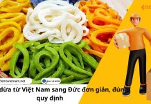 GỬI MỨT DỪA TỪ VIỆT NAM SANG ĐỨC, ĐƠN GIẢN ĐÚNG QUY ĐỊNH GỬI MỨT DỪA TỪ VIỆT NAM SANG ĐỨC, ĐƠN GIẢN ĐÚNG QUY ĐỊNH
