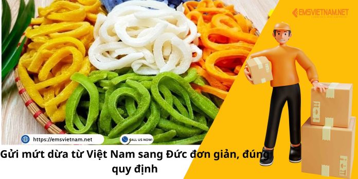 GỬI MỨT DỪA TỪ VIỆT NAM SANG ĐỨC, ĐƠN GIẢN ĐÚNG QUY ĐỊNH