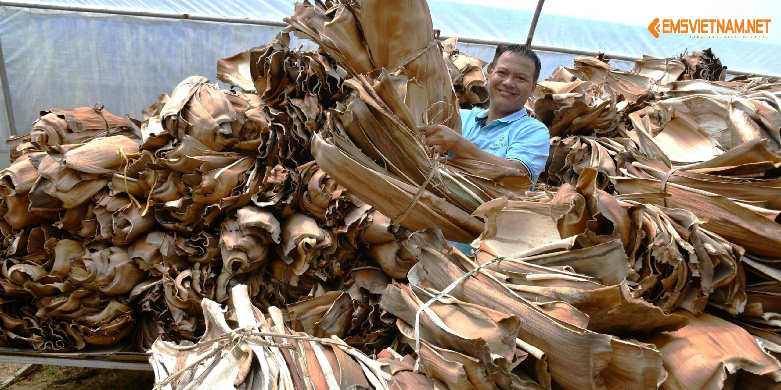 Gửi chén, đĩa mo cau đi Mỹ: Hướng dẫn chi tiết và báo giá mới nhất