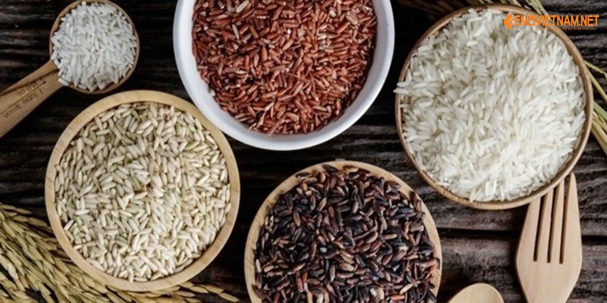 XUẤT KHẨU GẠO LỨT TỪ VIỆT NAM SANG NHẬT BẢN: QUY TRÌNH, TIÊU CHUẨN VÀ CƠ HỘI