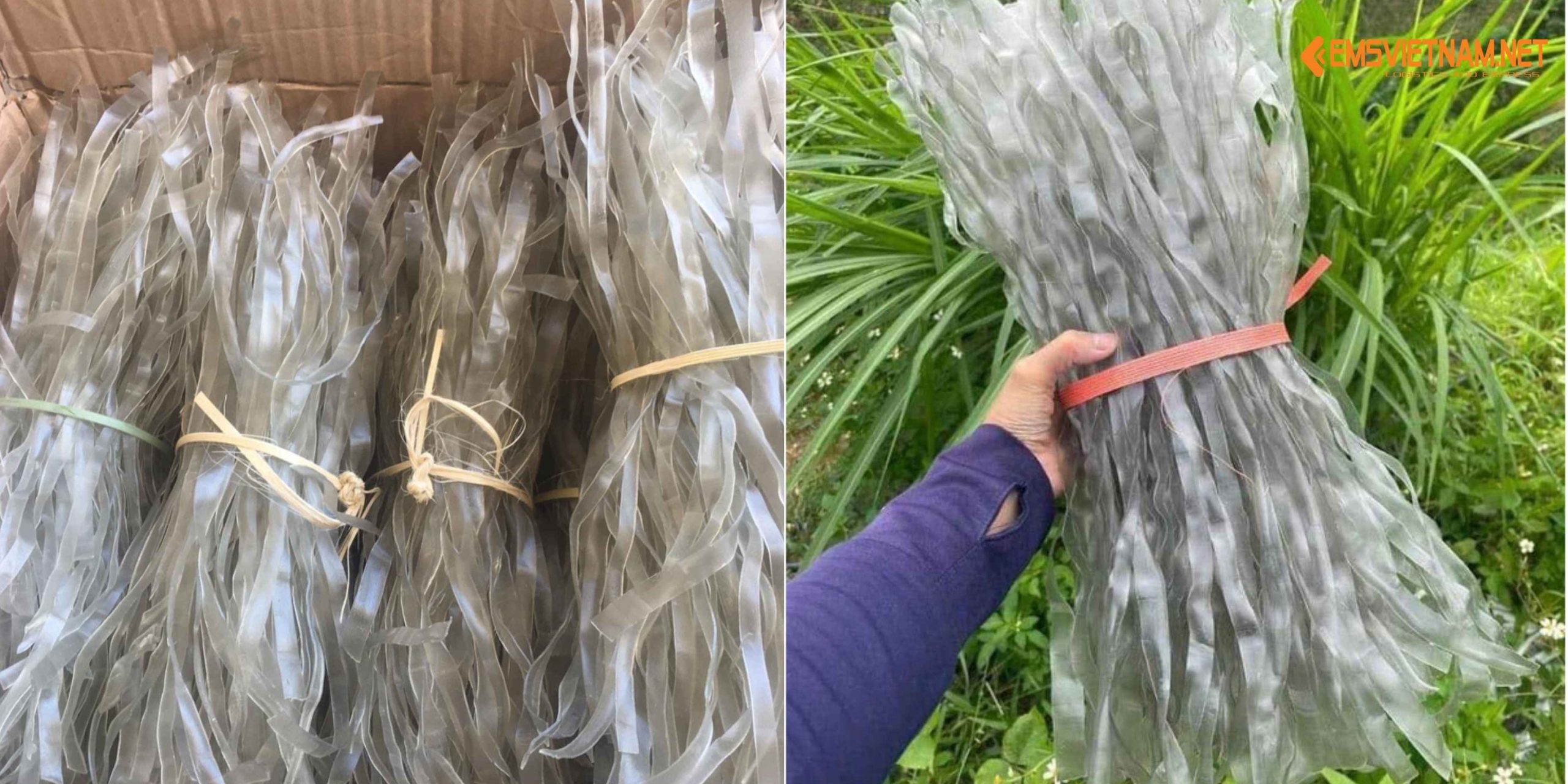 Dịch vụ gửi miến dong từ Việt Nam sang Mỹ – An toàn, nhanh chóng và đúng quy định