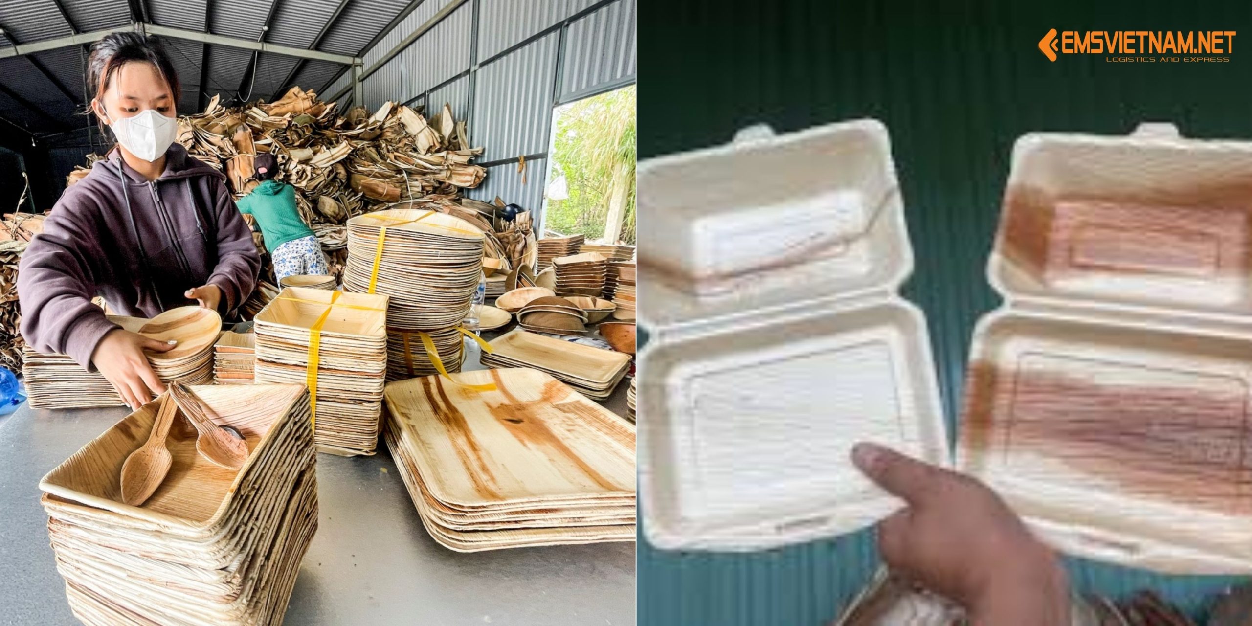 Gửi chén, đĩa mo cau đi Mỹ: Hướng dẫn chi tiết và báo giá mới nhất