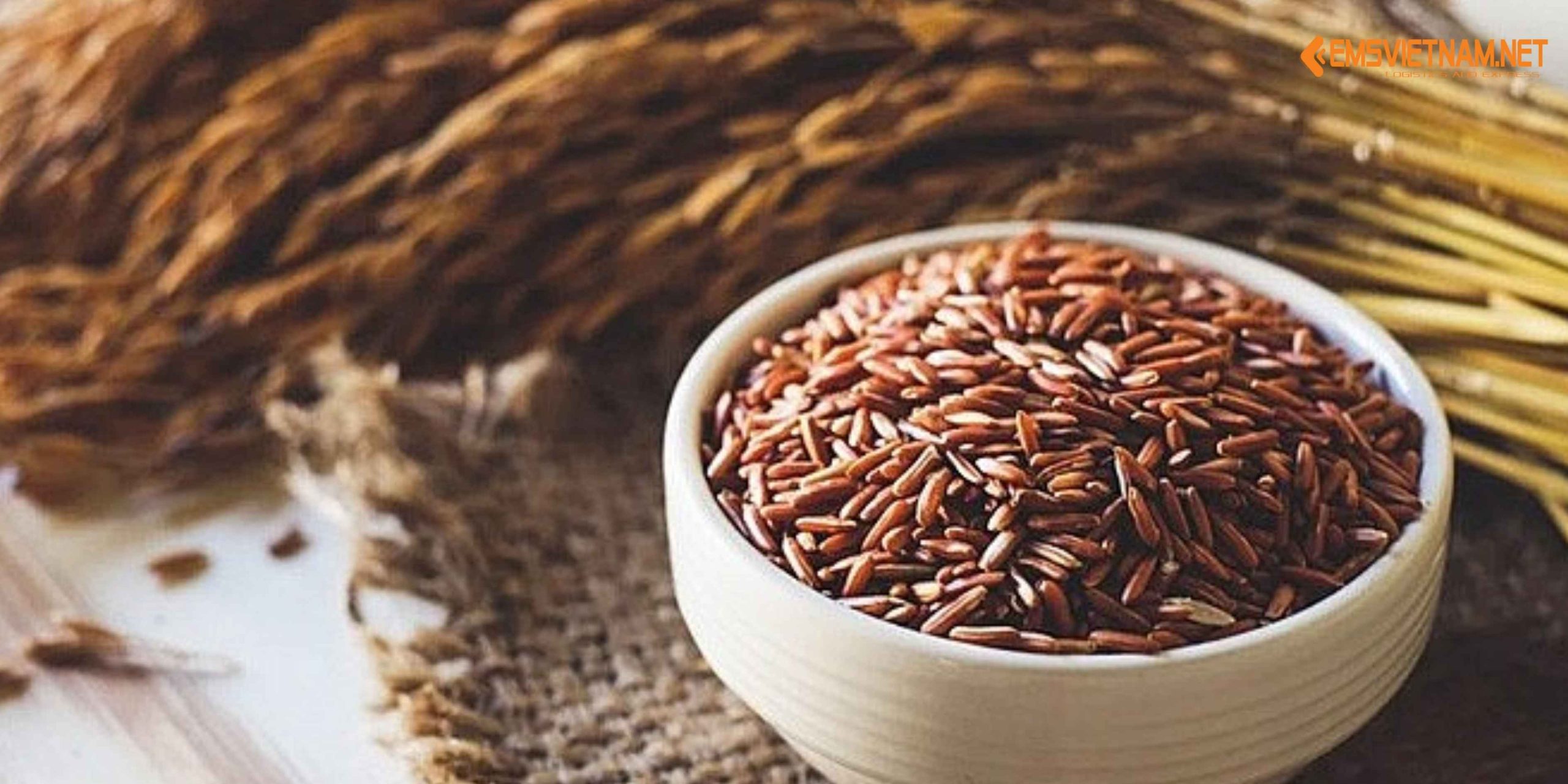 XUẤT KHẨU GẠO LỨT TỪ VIỆT NAM SANG NHẬT BẢN: QUY TRÌNH, TIÊU CHUẨN VÀ CƠ HỘI