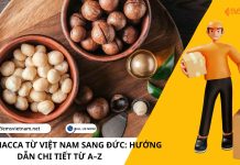 GỬI HẠT MACCA TỪ VIỆT NAM SANG ĐỨC: HƯỚNG DẪN CHI TIẾT TỪ A–Z GỬI HẠT MACCA TỪ VIỆT NAM SANG ĐỨC: HƯỚNG DẪN CHI TIẾT TỪ A–Z