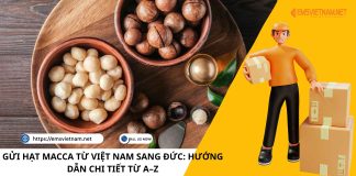 GỬI HẠT MACCA TỪ VIỆT NAM SANG ĐỨC: HƯỚNG DẪN CHI TIẾT TỪ A–Z GỬI HẠT MACCA TỪ VIỆT NAM SANG ĐỨC: HƯỚNG DẪN CHI TIẾT TỪ A–Z