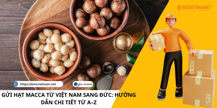 GỬI HẠT MACCA TỪ VIỆT NAM SANG ĐỨC: HƯỚNG DẪN CHI TIẾT TỪ A–Z