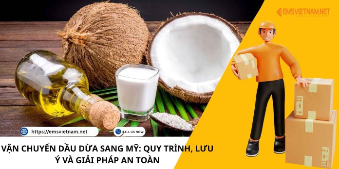 VẬN CHUYỂN DẦU DỪA SANG MỸ: QUY TRÌNH, LƯU Ý VÀ GIẢI PHÁP AN TOÀN