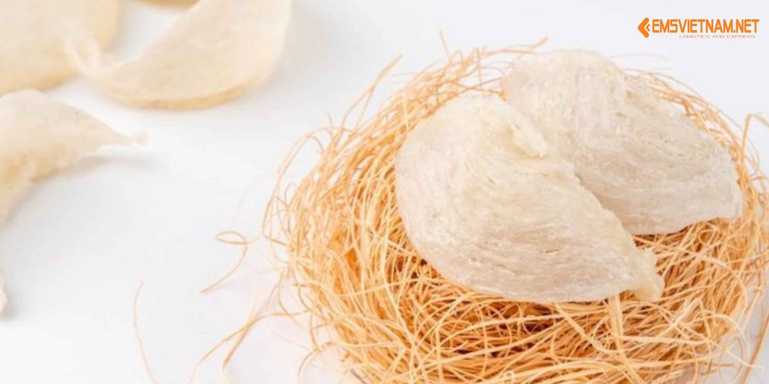 Vận Chuyển Tổ Yến Từ Việt Nam Sang Đức: Quy Trình, Điều Kiện Và Giải Pháp An Toàn