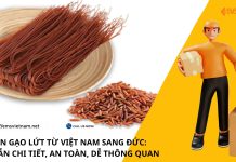GỬI BÚN GẠO LỨT TỪ VIỆT NAM SANG ĐỨC: HƯỚNG DẪN CHI TIẾT, AN TOÀN, DỄ THÔNG QUAN GỬI BÚN GẠO LỨT TỪ VIỆT NAM SANG ĐỨC: HƯỚNG DẪN CHI TIẾT, AN TOÀN, DỄ THÔNG QUAN