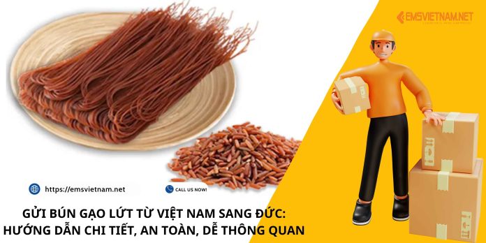 GỬI BÚN GẠO LỨT TỪ VIỆT NAM SANG ĐỨC: HƯỚNG DẪN CHI TIẾT, AN TOÀN, DỄ THÔNG QUAN