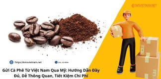 Gửi Cà Phê Từ Việt Nam Qua Mỹ: Hướng Dẫn Đầy Đủ, Dễ Thông Quan, Tiết Kiệm Chi Phí Gửi Cà Phê Từ Việt Nam Qua Mỹ: Hướng Dẫn Đầy Đủ, Dễ Thông Quan, Tiết Kiệm Chi Phí