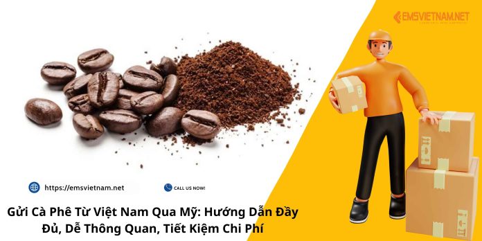 Gửi Cà Phê Từ Việt Nam Qua Mỹ: Hướng Dẫn Đầy Đủ, Dễ Thông Quan, Tiết Kiệm Chi Phí