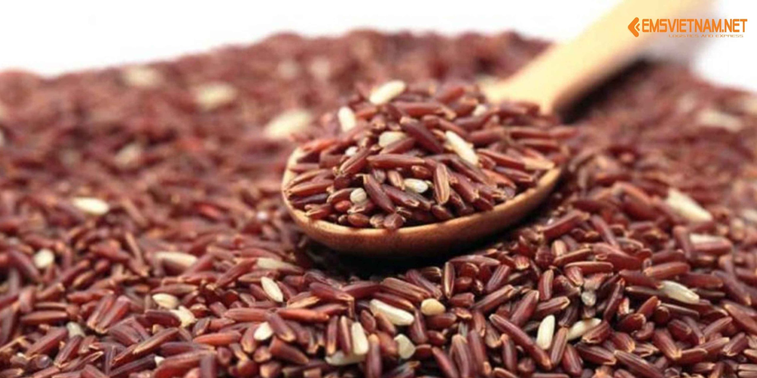 XUẤT KHẨU GẠO LỨT TỪ VIỆT NAM SANG NHẬT BẢN: QUY TRÌNH, TIÊU CHUẨN VÀ CƠ HỘI