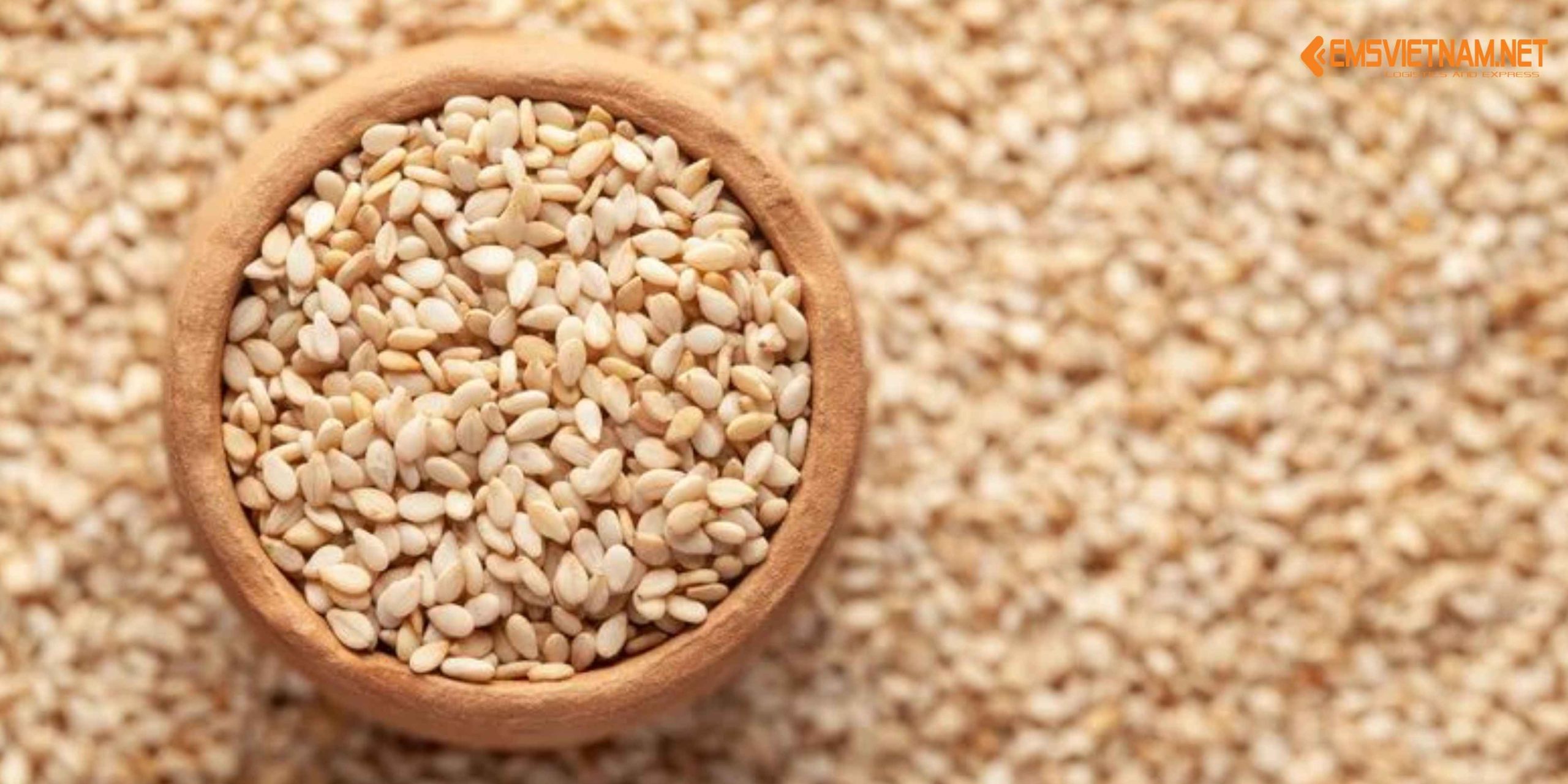 GỬI MẪU HẠT MÈ SANG HÀN QUỐC: QUY TRÌNH, CHI PHÍ VÀ LƯU Ý QUAN TRỌNG