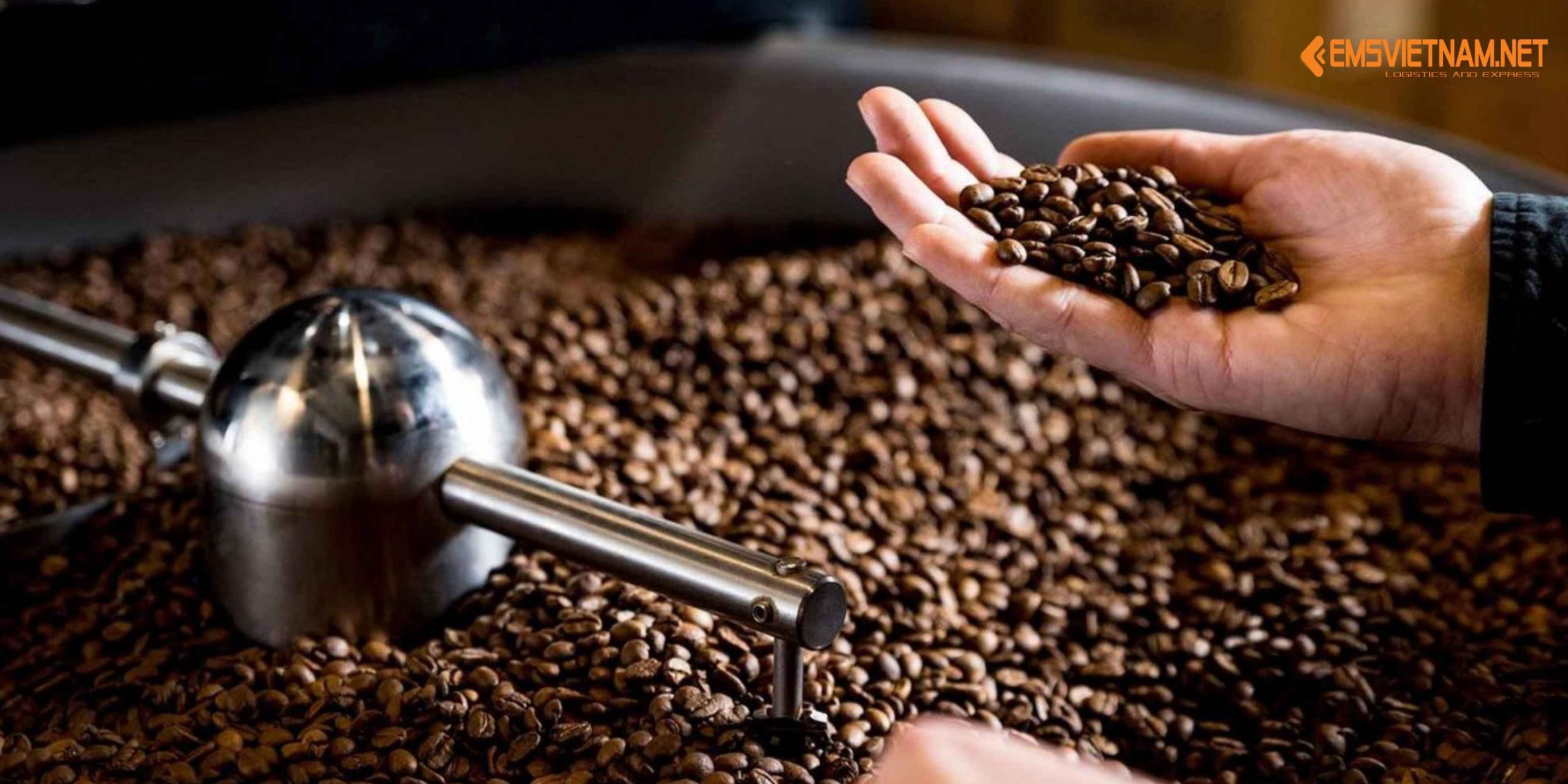 Gửi Cà Phê Từ Việt Nam Qua Mỹ: Hướng Dẫn Đầy Đủ, Dễ Thông Quan, Tiết Kiệm Chi Phí