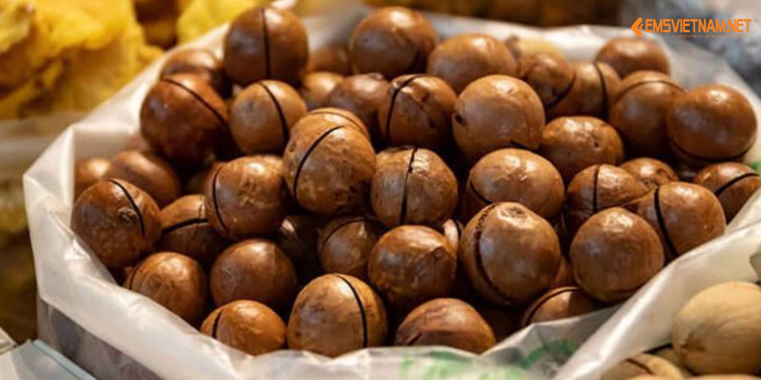 GỬI HẠT MACCA TỪ VIỆT NAM SANG ĐỨC: HƯỚNG DẪN CHI TIẾT TỪ A–Z