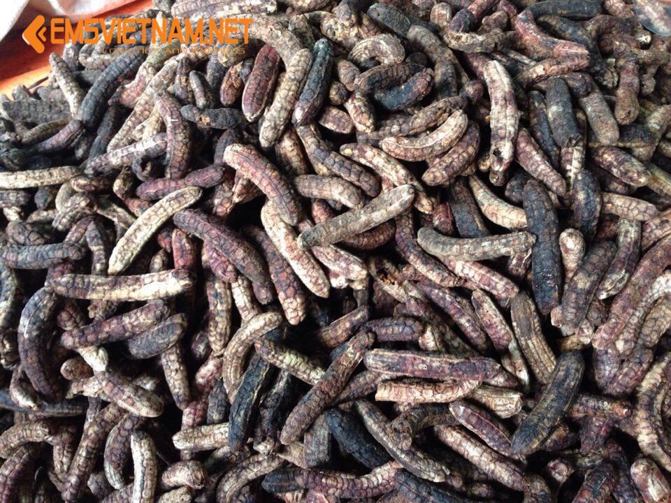 Gửi Chuối Hột Khô Từ Việt Nam Sang Mỹ Nhanh Chóng