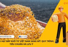 XUẤT KHẨU HẠT BẮP KHÔ TỪ VIỆT NAM SANG MỸ: QUY TRÌNH, TIÊU CHUẨN VÀ LƯU Ý XUẤT KHẨU HẠT BẮP KHÔ TỪ VIỆT NAM SANG MỸ: QUY TRÌNH, TIÊU CHUẨN VÀ LƯU Ý
