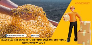 XUẤT KHẨU HẠT BẮP KHÔ TỪ VIỆT NAM SANG MỸ: QUY TRÌNH, TIÊU CHUẨN VÀ LƯU Ý XUẤT KHẨU HẠT BẮP KHÔ TỪ VIỆT NAM SANG MỸ: QUY TRÌNH, TIÊU CHUẨN VÀ LƯU Ý