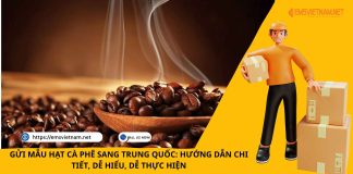 GỬI MẪU HẠT CÀ PHÊ SANG TRUNG QUỐC: HƯỚNG DẪN CHI TIẾT, DỄ HIỂU, DỄ THỰC HIỆN GỬI MẪU HẠT CÀ PHÊ SANG TRUNG QUỐC: HƯỚNG DẪN CHI TIẾT, DỄ HIỂU, DỄ THỰC HIỆN