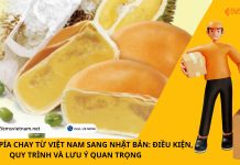 GỬI BÁNH PÍA CHAY TỪ VIỆT NAM SANG NHẬT BẢN: ĐIỀU KIỆN, QUY TRÌNH VÀ LƯU Ý QUAN TRỌNG GỬI BÁNH PÍA CHAY TỪ VIỆT NAM SANG NHẬT BẢN: ĐIỀU KIỆN, QUY TRÌNH VÀ LƯU Ý QUAN TRỌNG