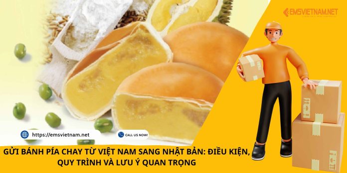 GỬI BÁNH PÍA CHAY TỪ VIỆT NAM SANG NHẬT BẢN: ĐIỀU KIỆN, QUY TRÌNH VÀ LƯU Ý QUAN TRỌNG