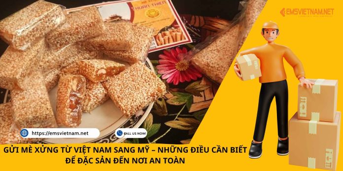 GỬI MÈ XỬNG TỪ VIỆT NAM SANG MỸ – NHỮNG ĐIỀU CẦN BIẾT ĐỂ ĐẶC SẢN ĐẾN NƠI AN TOÀN