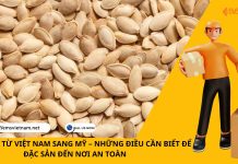 GỬI HẠT BÍ TỪ VIỆT NAM SANG MỸ – NHỮNG ĐIỀU CẦN BIẾT ĐỂ ĐẶC SẢN ĐẾN NƠI AN TOÀN GỬI HẠT BÍ TỪ VIỆT NAM SANG MỸ – NHỮNG ĐIỀU CẦN BIẾT ĐỂ ĐẶC SẢN ĐẾN NƠI AN TOÀN