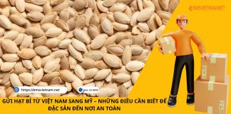 GỬI HẠT BÍ TỪ VIỆT NAM SANG MỸ – NHỮNG ĐIỀU CẦN BIẾT ĐỂ ĐẶC SẢN ĐẾN NƠI AN TOÀN GỬI HẠT BÍ TỪ VIỆT NAM SANG MỸ – NHỮNG ĐIỀU CẦN BIẾT ĐỂ ĐẶC SẢN ĐẾN NƠI AN TOÀN