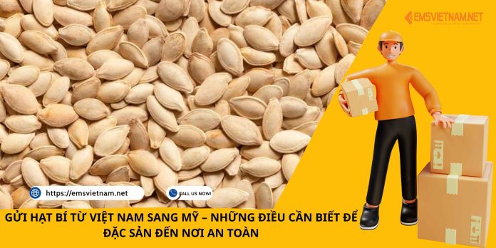 GỬI HẠT BÍ TỪ VIỆT NAM SANG MỸ – NHỮNG ĐIỀU CẦN BIẾT ĐỂ ĐẶC SẢN ĐẾN NƠI AN TOÀN