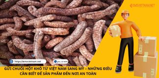 GỬI CHUỐI HỘT KHÔ TỪ VIỆT NAM SANG MỸ – NHỮNG ĐIỀU CẦN BIẾT ĐỂ SẢN PHẨM ĐẾN NƠI AN TOÀN GỬI CHUỐI HỘT KHÔ TỪ VIỆT NAM SANG MỸ – NHỮNG ĐIỀU CẦN BIẾT ĐỂ SẢN PHẨM ĐẾN NƠI AN TOÀN