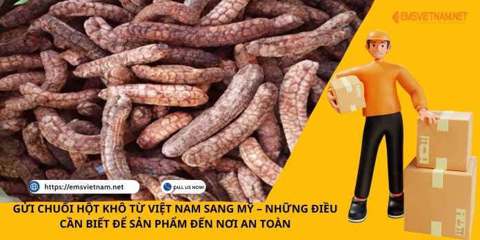 GỬI CHUỐI HỘT KHÔ TỪ VIỆT NAM SANG MỸ – NHỮNG ĐIỀU CẦN BIẾT ĐỂ SẢN PHẨM ĐẾN NƠI AN TOÀN