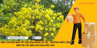 VẬN CHUYỂN MAI TẾT NỘI ĐỊA BẰNG XE TẢI – NHỮNG ĐIỀU CẦN BIẾT ĐỂ CÂY ĐẾN NƠI NGUYÊN VẸN VẬN CHUYỂN MAI TẾT NỘI ĐỊA BẰNG XE TẢI – NHỮNG ĐIỀU CẦN BIẾT ĐỂ CÂY ĐẾN NƠI NGUYÊN VẸN