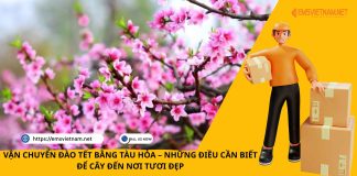 VẬN CHUYỂN ĐÀO TẾT BẰNG TÀU HỎA – NHỮNG ĐIỀU CẦN BIẾT ĐỂ CÂY ĐẾN NƠI TƯƠI ĐẸP VẬN CHUYỂN ĐÀO TẾT BẰNG TÀU HỎA – NHỮNG ĐIỀU CẦN BIẾT ĐỂ CÂY ĐẾN NƠI TƯƠI ĐẸP