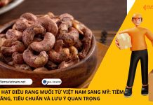 XUẤT KHẨU HẠT ĐIỀU RANG MUỐI TỪ VIỆT NAM SANG MỸ: TIỀM NĂNG, TIÊU CHUẨN VÀ LƯU Ý QUAN TRỌNG XUẤT KHẨU HẠT ĐIỀU RANG MUỐI TỪ VIỆT NAM SANG MỸ: TIỀM NĂNG, TIÊU CHUẨN VÀ LƯU Ý QUAN TRỌNG