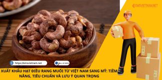 XUẤT KHẨU HẠT ĐIỀU RANG MUỐI TỪ VIỆT NAM SANG MỸ: TIỀM NĂNG, TIÊU CHUẨN VÀ LƯU Ý QUAN TRỌNG XUẤT KHẨU HẠT ĐIỀU RANG MUỐI TỪ VIỆT NAM SANG MỸ: TIỀM NĂNG, TIÊU CHUẨN VÀ LƯU Ý QUAN TRỌNG