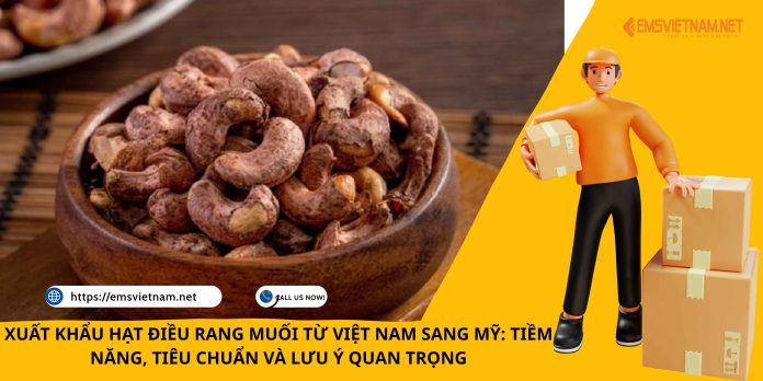 XUẤT KHẨU HẠT ĐIỀU RANG MUỐI TỪ VIỆT NAM SANG MỸ: TIỀM NĂNG, TIÊU CHUẨN VÀ LƯU Ý QUAN TRỌNG